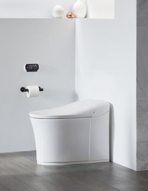 Inodoro eficiente WaterSense con ahorro de agua